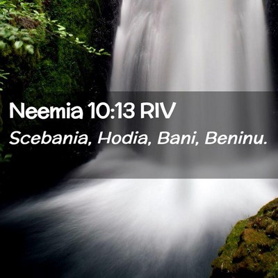Picture 02 - Neemia 10:13 RIV - Scebania, Hodia, Bani, - Bible Verse Picture