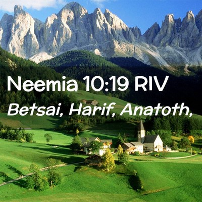 Picture 02 - Neemia 10:19 RIV - Betsai, Harif, - Bible Verse Picture