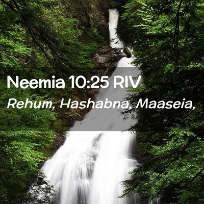Picture 02 - Neemia 10:25 RIV - Rehum, Hashabna, - Bible Verse Picture