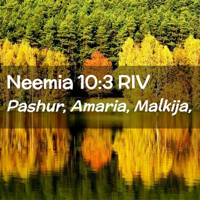 Picture 02 - Neemia 10:3 RIV - Pashur, Amaria, - Bible Verse Picture