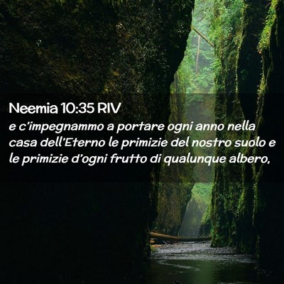 Picture 02 - Neemia 10:35 RIV - e c’impegnammo a portare ogni anno nella casa - Bible Verse Picture
