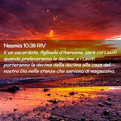 Picture 02 - Neemia 10:38 RIV - E un sacerdote, figliuolo d’Aaronne, sarà coi - Bible Verse Picture