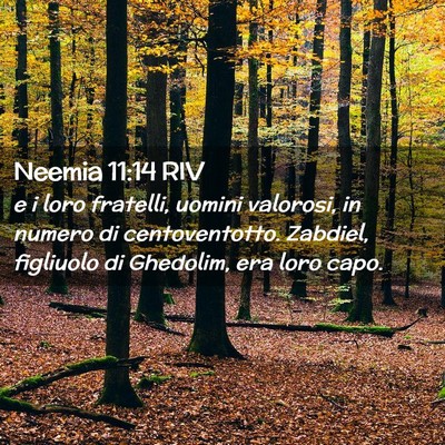 Picture 02 - Neemia 11:14 RIV - e i loro fratelli, uomini valorosi, in numero di - Bible Verse Picture