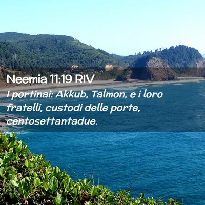 Picture 02 - Neemia 11:19 RIV - I portinai: Akkub, Talmon, e i loro fratelli, - Bible Verse Picture