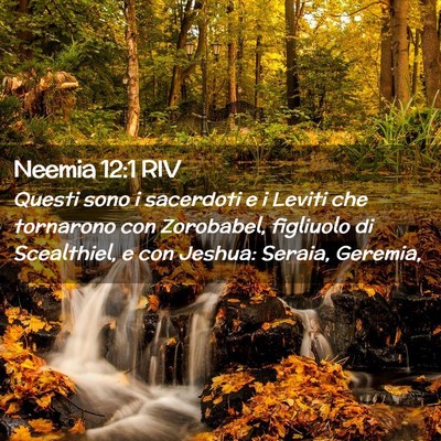 Picture 02 - Neemia 12:1 RIV - Questi sono i sacerdoti e i Leviti che tornarono - Bible Verse Picture
