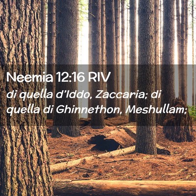 Picture 02 - Neemia 12:16 RIV - di quella d’Iddo, Zaccaria; di quella di - Bible Verse Picture