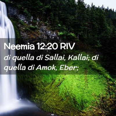 Picture 02 - Neemia 12:20 RIV - di quella di Sallai, Kallai; di quella di Amok, - Bible Verse Picture