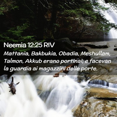 Picture 02 - Neemia 12:25 RIV - Mattania, Bakbukia, Obadia, Meshullam, Talmon, - Bible Verse Picture