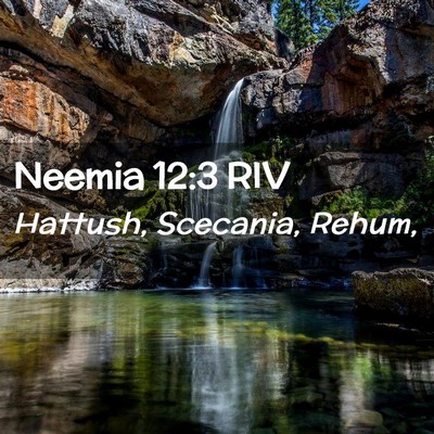 Picture 02 - Neemia 12:3 RIV - Hattush, Scecania, - Bible Verse Picture