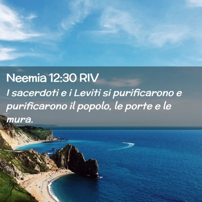 Picture 02 - Neemia 12:30 RIV - I sacerdoti e i Leviti si purificarono e - Bible Verse Picture