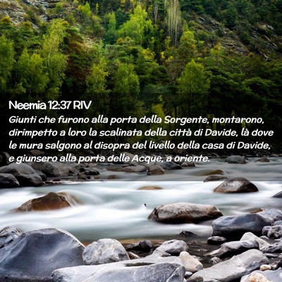 Picture 02 - Neemia 12:37 RIV - Giunti che furono alla porta della Sorgente, - Bible Verse Picture