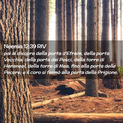 Picture 02 - Neemia 12:39 RIV - poi al disopra della porta d’Efraim, della - Bible Verse Picture