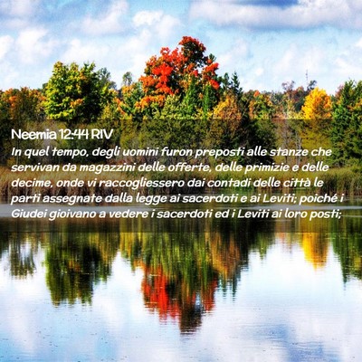 Picture 02 - Neemia 12:44 RIV - In quel tempo, degli uomini furon preposti alle - Bible Verse Picture