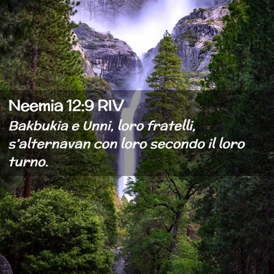 Picture 02 - Neemia 12:9 RIV - Bakbukia e Unni, loro fratelli, s’alternavan - Bible Verse Picture