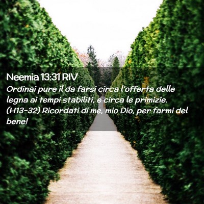 Picture 02 - Neemia 13:31 RIV - Ordinai pure il da farsi circa l’offerta delle - Bible Verse Picture