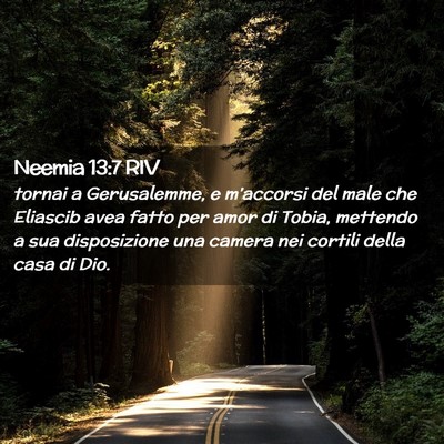 Picture 02 - Neemia 13:7 RIV - tornai a Gerusalemme, e m’accorsi del male che - Bible Verse Picture