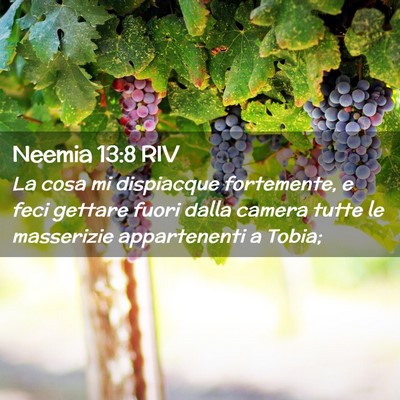 Picture 02 - Neemia 13:8 RIV - La cosa mi dispiacque fortemente, e feci gettare - Bible Verse Picture