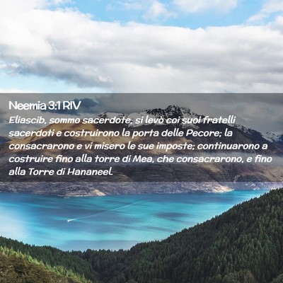 Picture 02 - Neemia 3:1 RIV - Eliascib, sommo sacerdote, si levò coi suoi - Bible Verse Picture