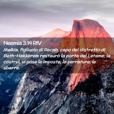 Picture 02 - Neemia 3:14 RIV - Malkia, figliuolo di Recab, capo del distretto di - Bible Verse Picture