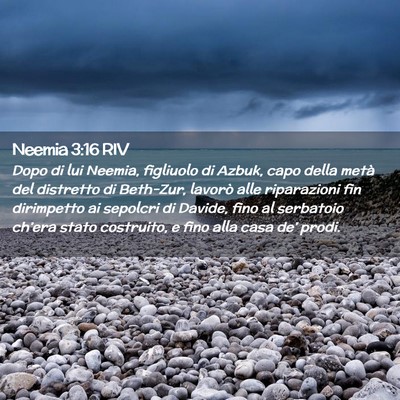 Picture 02 - Neemia 3:16 RIV - Dopo di lui Neemia, figliuolo di Azbuk, capo - Bible Verse Picture