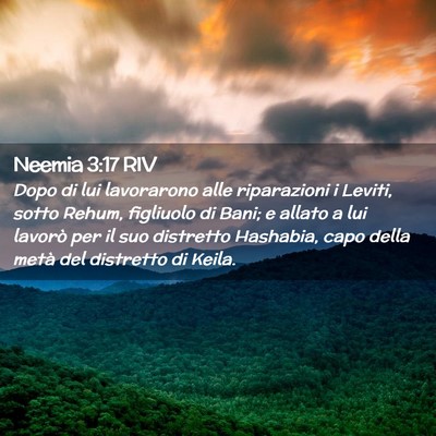 Picture 02 - Neemia 3:17 RIV - Dopo di lui lavorarono alle riparazioni i Leviti, - Bible Verse Picture