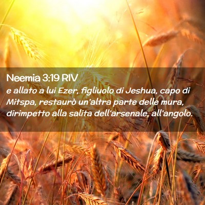 Picture 02 - Neemia 3:19 RIV - e allato a lui Ezer, figliuolo di Jeshua, capo di - Bible Verse Picture