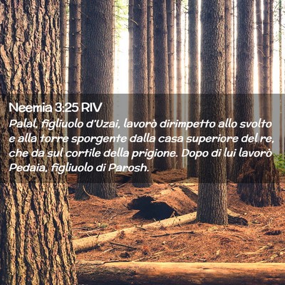 Picture 02 - Neemia 3:25 RIV - Palal, figliuolo d’Uzai, lavorò dirimpetto - Bible Verse Picture