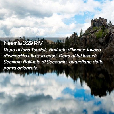 Picture 02 - Neemia 3:29 RIV - Dopo di loro Tsadok, figliuolo d’Immer, lavorò - Bible Verse Picture
