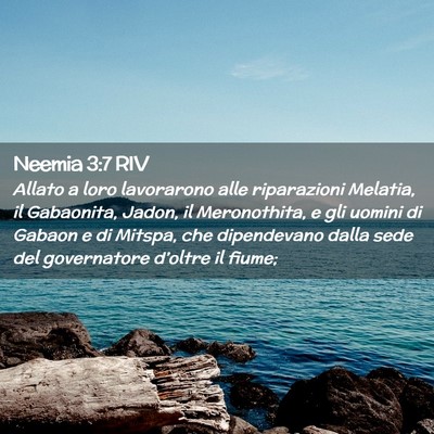 Picture 02 - Neemia 3:7 RIV - Allato a loro lavorarono alle riparazioni - Bible Verse Picture