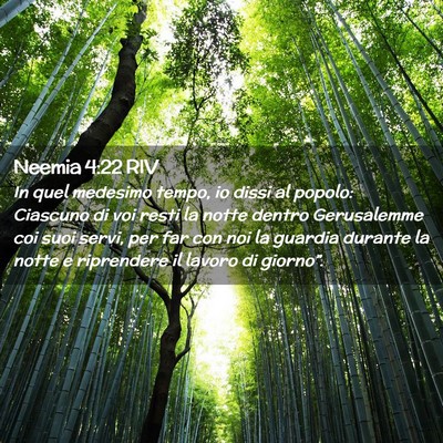 Picture 02 - Neemia 4:22 RIV - In quel medesimo tempo, io dissi al popolo: - Bible Verse Picture