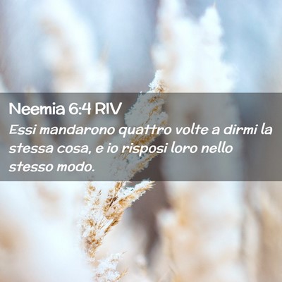 Picture 02 - Neemia 6:4 RIV - Essi mandarono quattro volte a dirmi la stessa - Bible Verse Picture