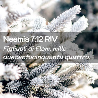 Picture 02 - Neemia 7:12 RIV - Figliuoli di Elam, mille duecentocinquanta - Bible Verse Picture