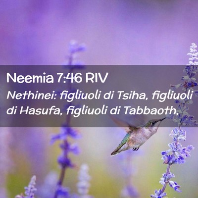 Picture 02 - Neemia 7:46 RIV - Nethinei: figliuoli di Tsiha, figliuoli di - Bible Verse Picture