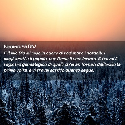 Picture 02 - Neemia 7:5 RIV - E il mio Dio mi mise in cuore di radunare i - Bible Verse Picture