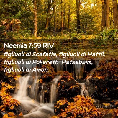 Picture 02 - Neemia 7:59 RIV - figliuoli di Scefatia, figliuoli di Hattil, - Bible Verse Picture