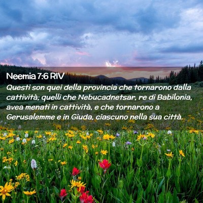 Picture 02 - Neemia 7:6 RIV - Questi son quei della provincia che tornarono - Bible Verse Picture