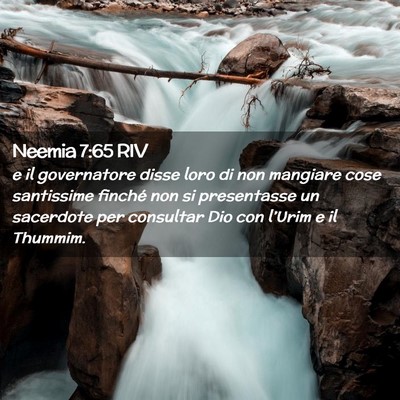 Picture 02 - Neemia 7:65 RIV - e il governatore disse loro di non mangiare cose - Bible Verse Picture