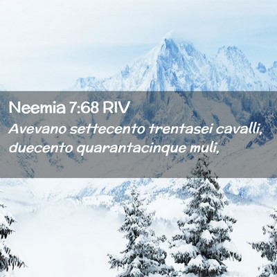 Picture 02 - Neemia 7:68 RIV - Avevano settecento trentasei cavalli, duecento - Bible Verse Picture