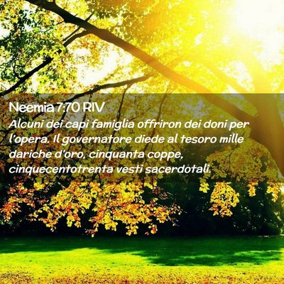Picture 02 - Neemia 7:70 RIV - Alcuni dei capi famiglia offriron dei doni per - Bible Verse Picture