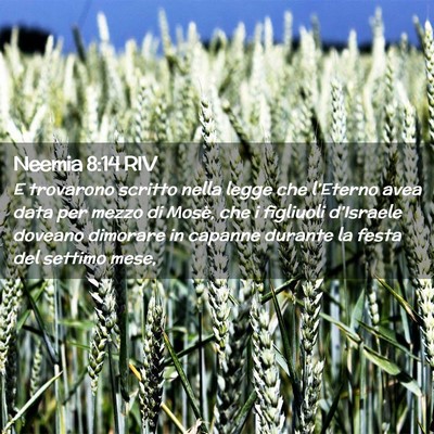 Picture 02 - Neemia 8:14 RIV - E trovarono scritto nella legge che l’Eterno - Bible Verse Picture