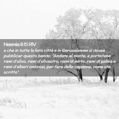 Picture 02 - Neemia 8:15 RIV - e che in tutte le loro città e in Gerusalemme si - Bible Verse Picture