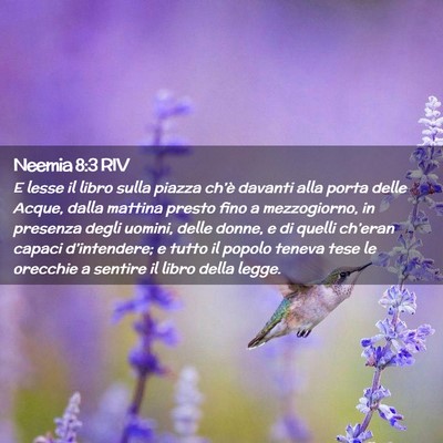 Picture 02 - Neemia 8:3 RIV - E lesse il libro sulla piazza ch’è davanti - Bible Verse Picture