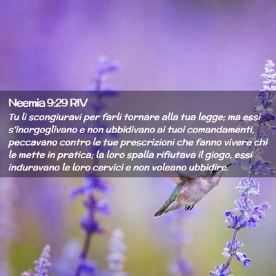 Picture 02 - Neemia 9:29 RIV - Tu li scongiuravi per farli tornare alla tua - Bible Verse Picture
