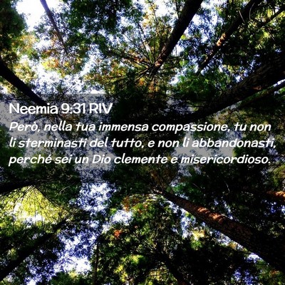 Picture 02 - Neemia 9:31 RIV - Però, nella tua immensa compassione, tu non li - Bible Verse Picture