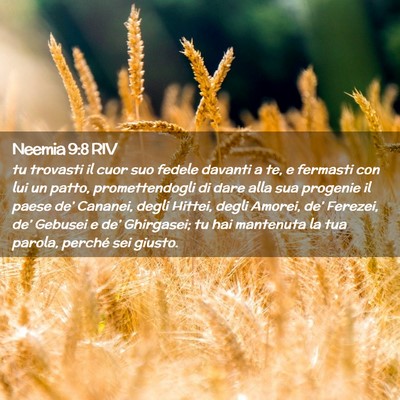 Picture 02 - Neemia 9:8 RIV - tu trovasti il cuor suo fedele davanti a te, e - Bible Verse Picture