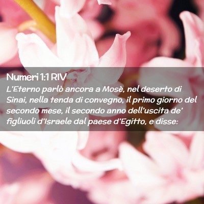 Picture 02 - Numeri 1:1 RIV - L’Eterno parlò ancora a Mosè, nel deserto di - Bible Verse Picture