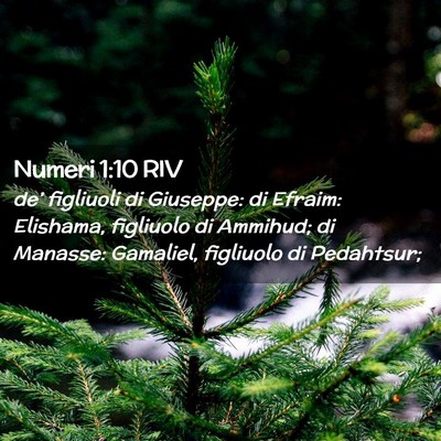 Picture 02 - Numeri 1:10 RIV - de’ figliuoli di Giuseppe: di Efraim: Elishama, - Bible Verse Picture