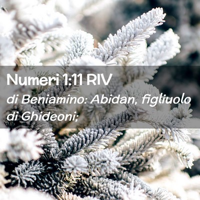 Picture 02 - Numeri 1:11 RIV - di Beniamino: Abidan, figliuolo di - Bible Verse Picture