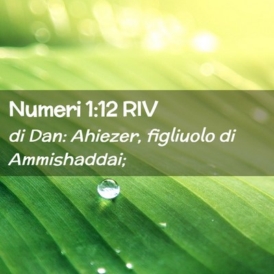 Picture 02 - Numeri 1:12 RIV - di Dan: Ahiezer, figliuolo di - Bible Verse Picture