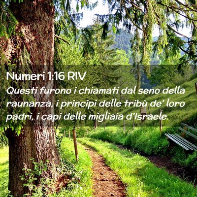 Picture 02 - Numeri 1:16 RIV - Questi furono i chiamati dal seno della raunanza, - Bible Verse Picture